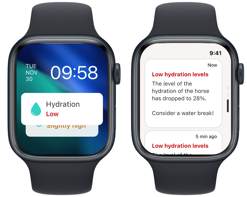 Alerts smartwatch screens