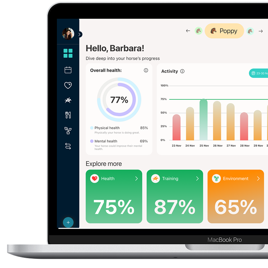 Equine dashboard page showing health and activity overview