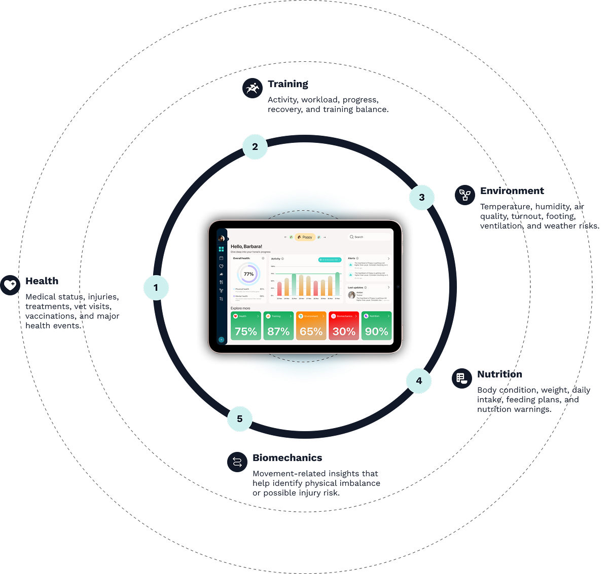 Five welfare areas shown around the Equine Integration dashboard