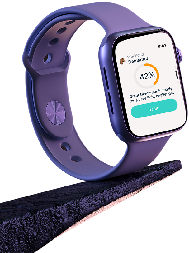 Equine Integration smartwatch challenge concept